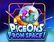 Pigeons From Space!